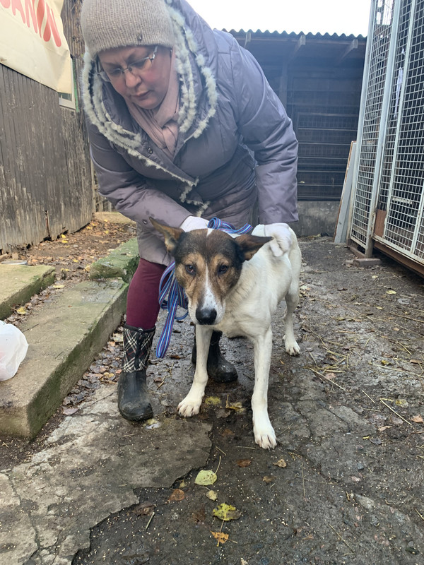 239577D2-E406-4FE1-8009-B67215E5AFFF