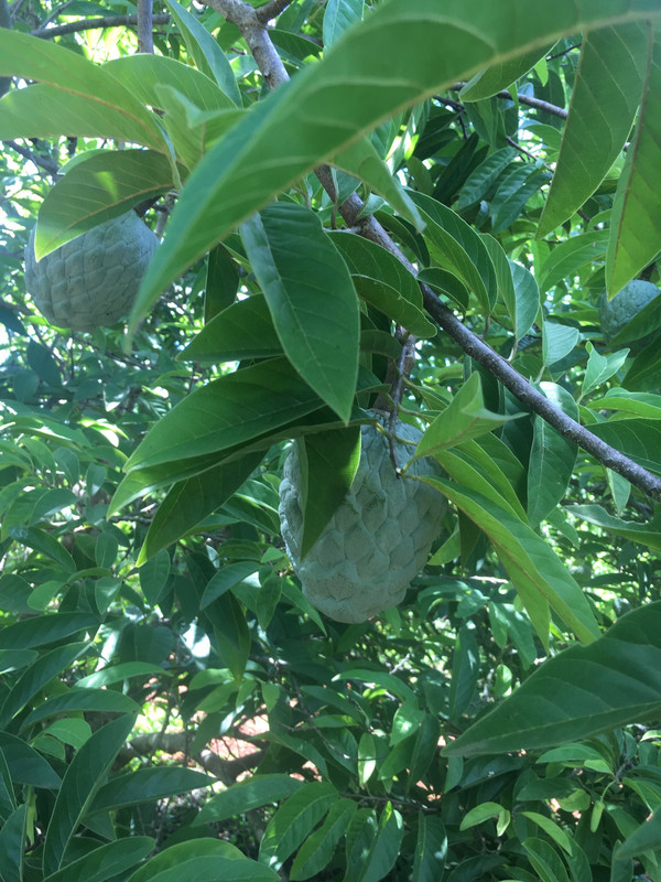 84E6BCA9-41AA-489E-8C7B-1E524D5C9317