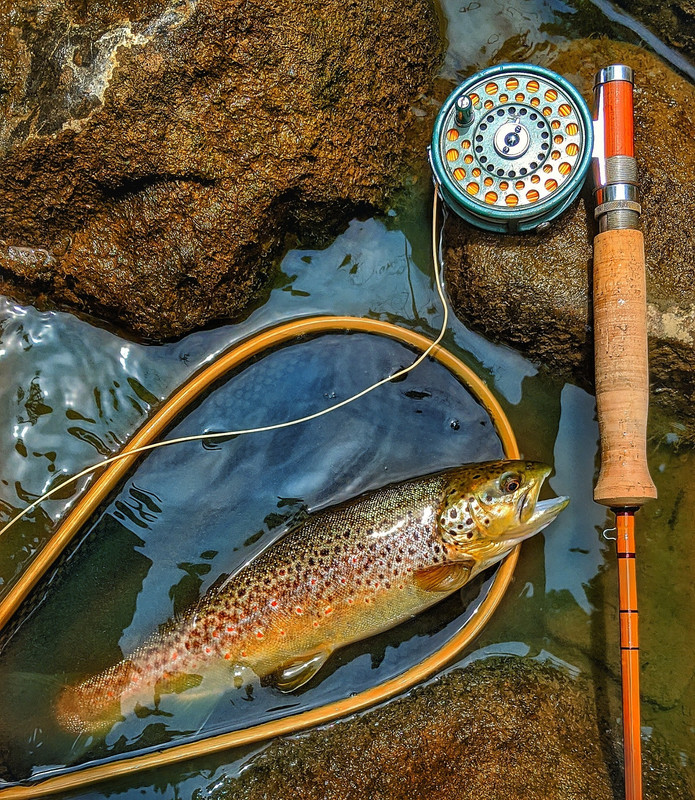 IMG_20200615_140920-01-01