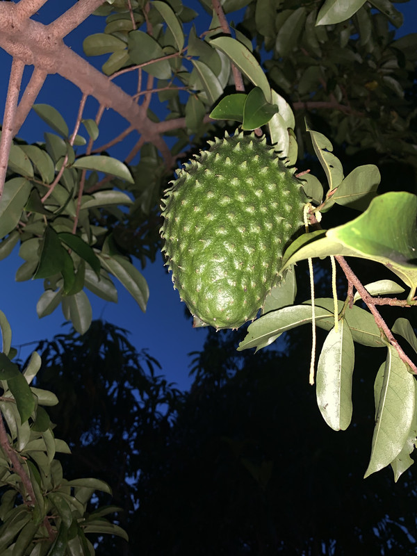 DA8B68EC-FC3C-4392-8C63-A8BB058A6F43