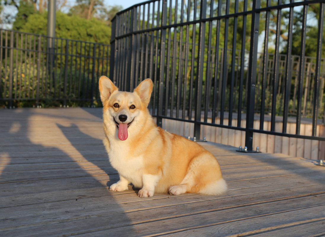 IMG_8188    17.07.21 АК Байрон