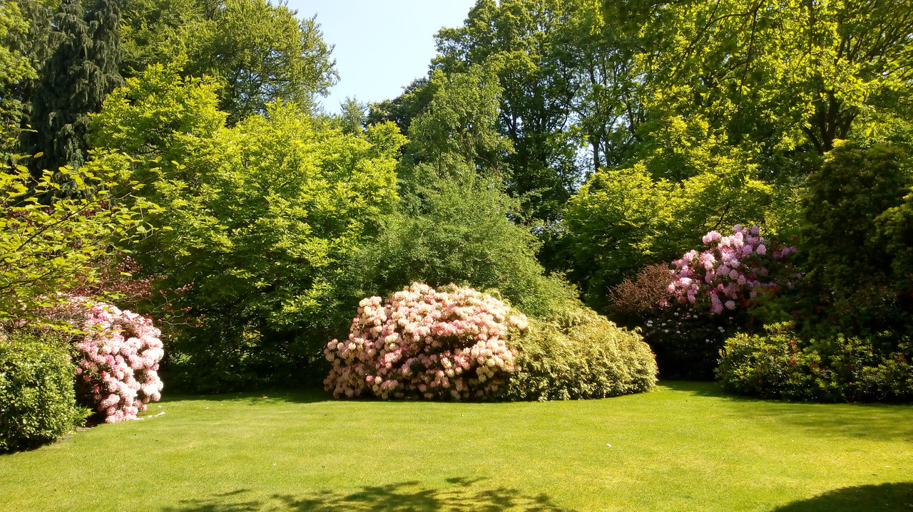 Floral garden with seating