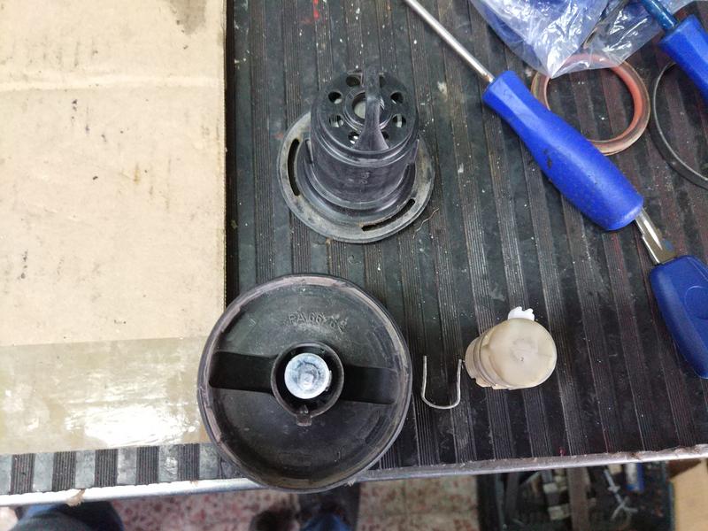 IMG-20181201-172105.jpg
