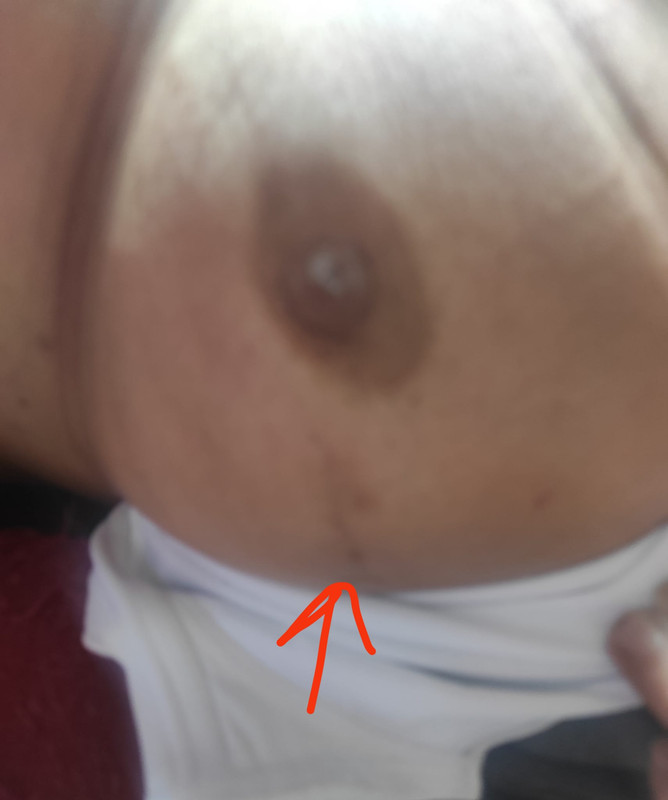 WhatsApp Image 2023-05-25 at 15.03.22