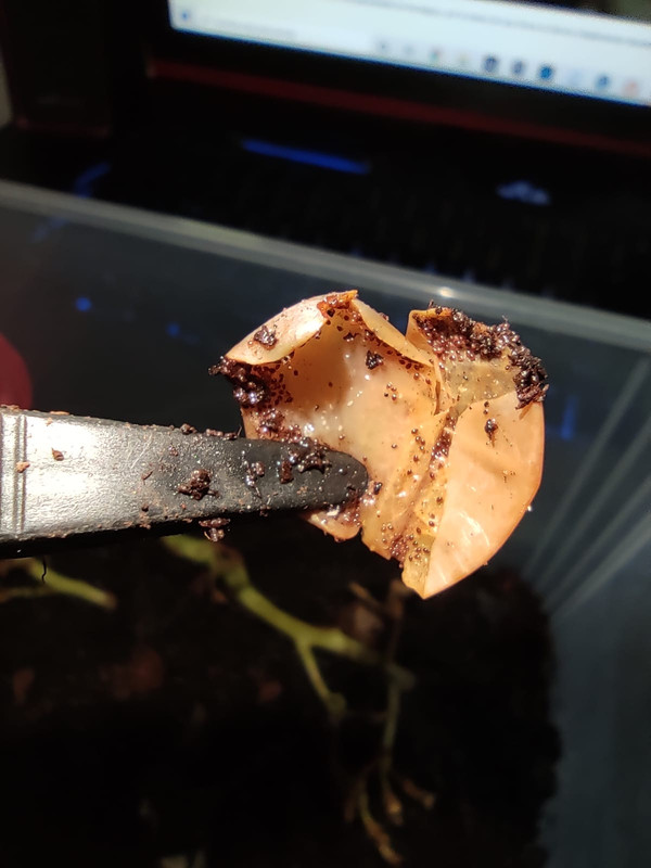 WhatsApp Image 2020-09-25 at 21.29.52(4)