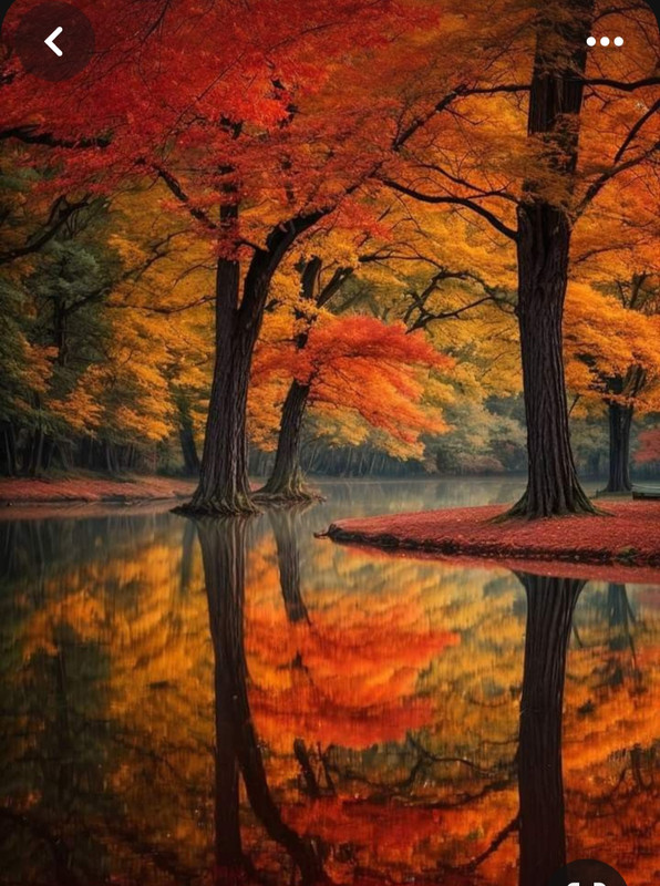 Screenshot_20240218_210304_Pinterest