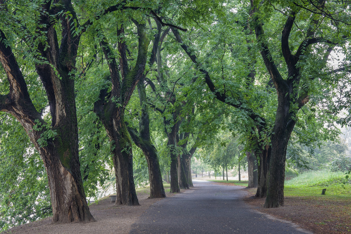 70011085_2476991382344710_5816244931286532096_o