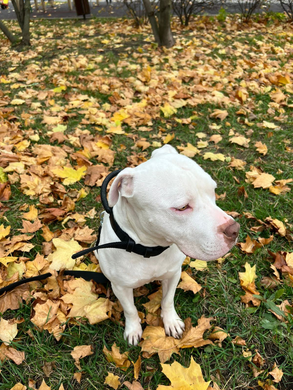 83BF3CC4-771D-4516-A96E-3C94F3829395