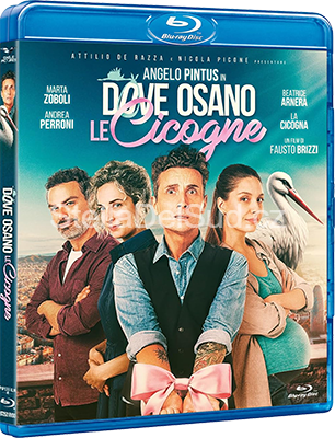 Dove Osano Le Cicogne (2025).mkv FullHD 1080p DTS AC3 iTA x264 - SDS Dove Osano Le Cicogne (2025).mkv FullHD 1080p DTS AC3 iTA x264 - SDS