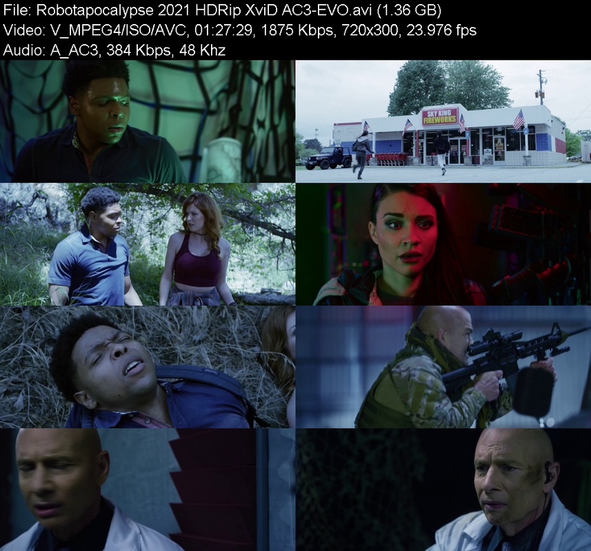 robotapocalypse-2021-hdrip-xvid-ac3-evo.