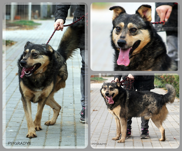 BeFunky-collage (23)