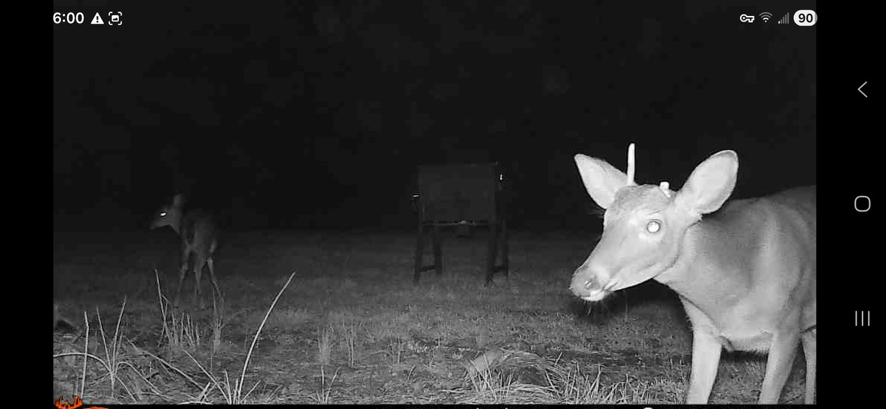 Screenshot 20260108 060010