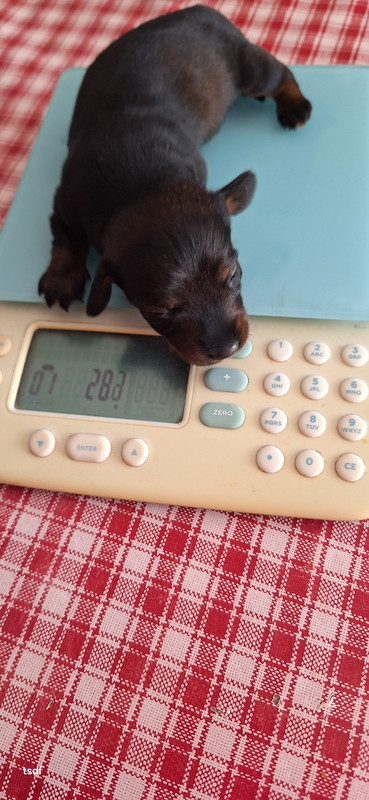 [Image: 20250426-110416.jpg]