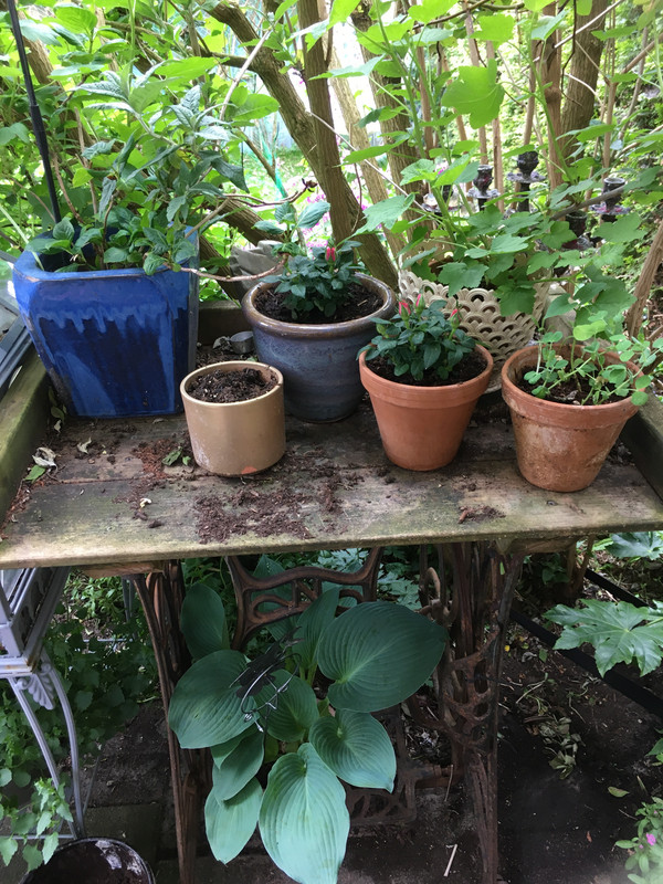 D11CA314-9864-4D75-83C5-5D4134681780