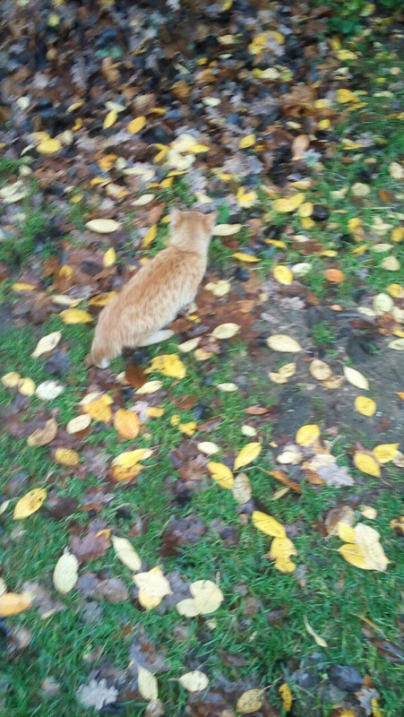 7F2C5E41-8D37-4954-AC09-EFBFEA1ADD53