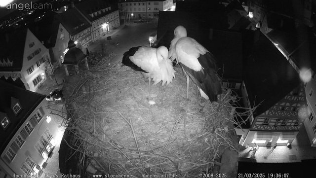 Przechwytywanie w trybie pełnoekranowym 21.03.2025 193650