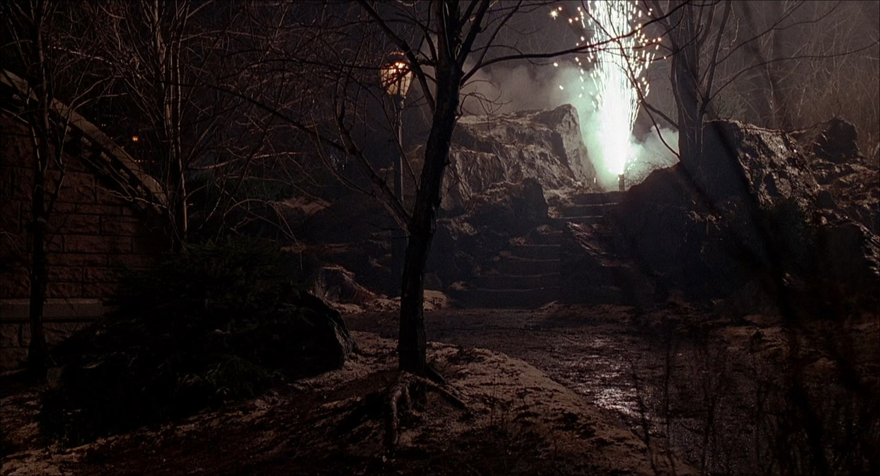 Home Alone 2 - Lost in New York 1992 (1080p x265 10bit Tigole).m