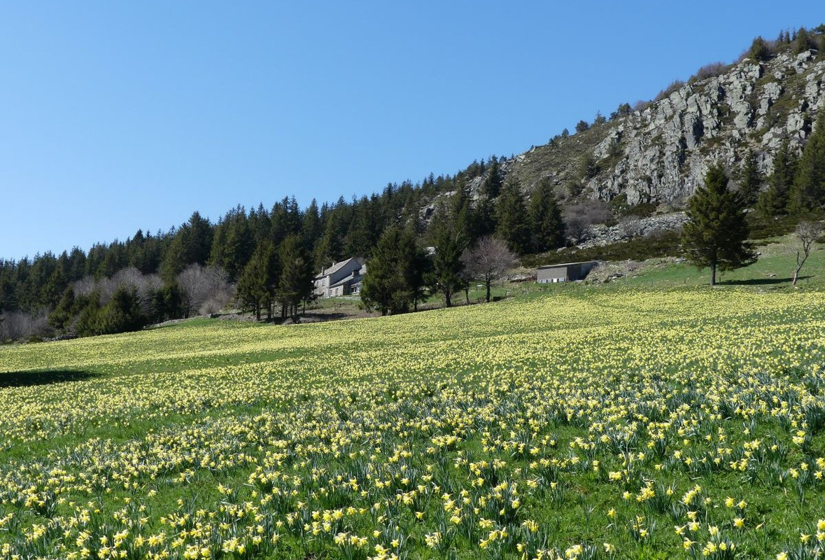 P1100440.jpg