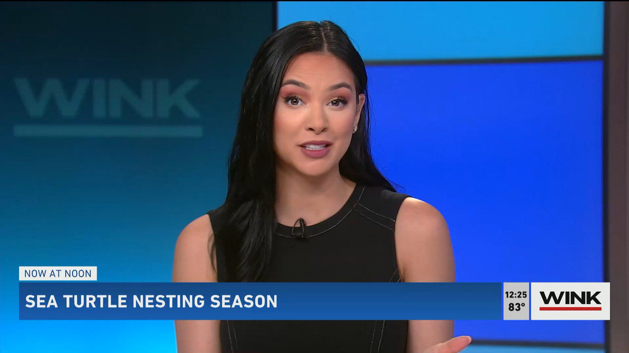 The WINK Noon News 2022_05_02_17_00_00.ts_snapshot_31.05.513