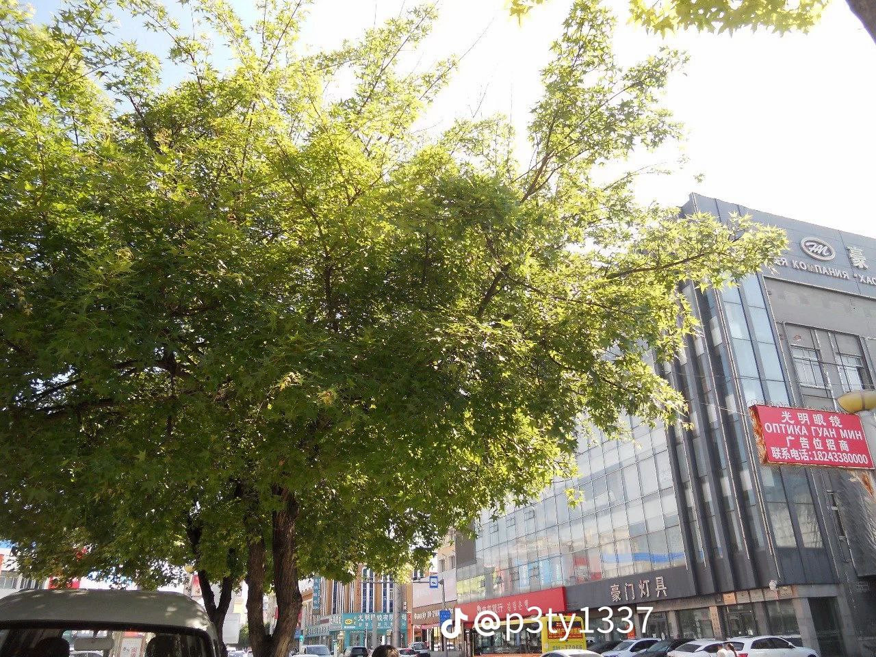 photo 19 2026 01 16 22 14 01