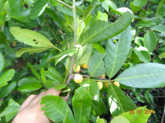 DSC04164