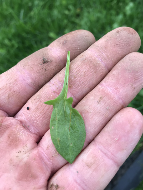 947655AA-05C2-430C-BE1A-393B26D33706