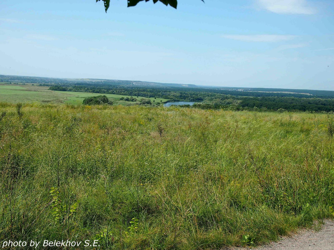 Дивногорье