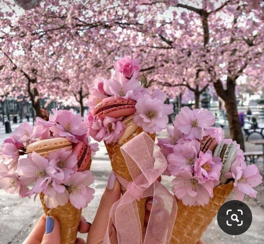 Screenshot_20230322_234712_Pinterest