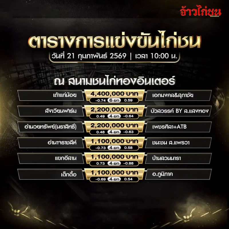 โปรแกรมไก่ชน สนามชนไก่ทองอินเตอร์ 21 กุมภาพันธ์ 2569 เวลา 10:00 น. ตารางการแข่งขันไก่ชน