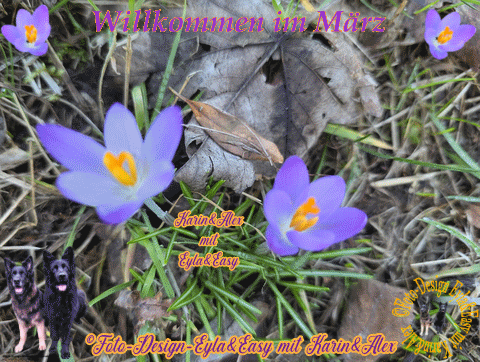 27-02-2026-GB-Willkommen-im-Marz