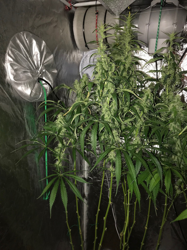 02AB4566-9F7F-43CB-AB45-D8AE05B7302A