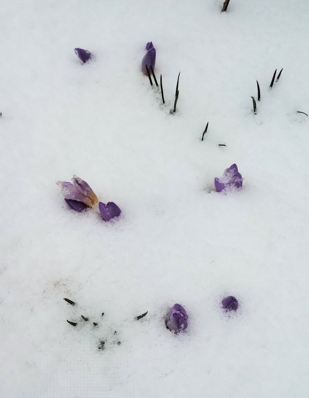 изображение_viber_2025-03-06_22-26-17-013