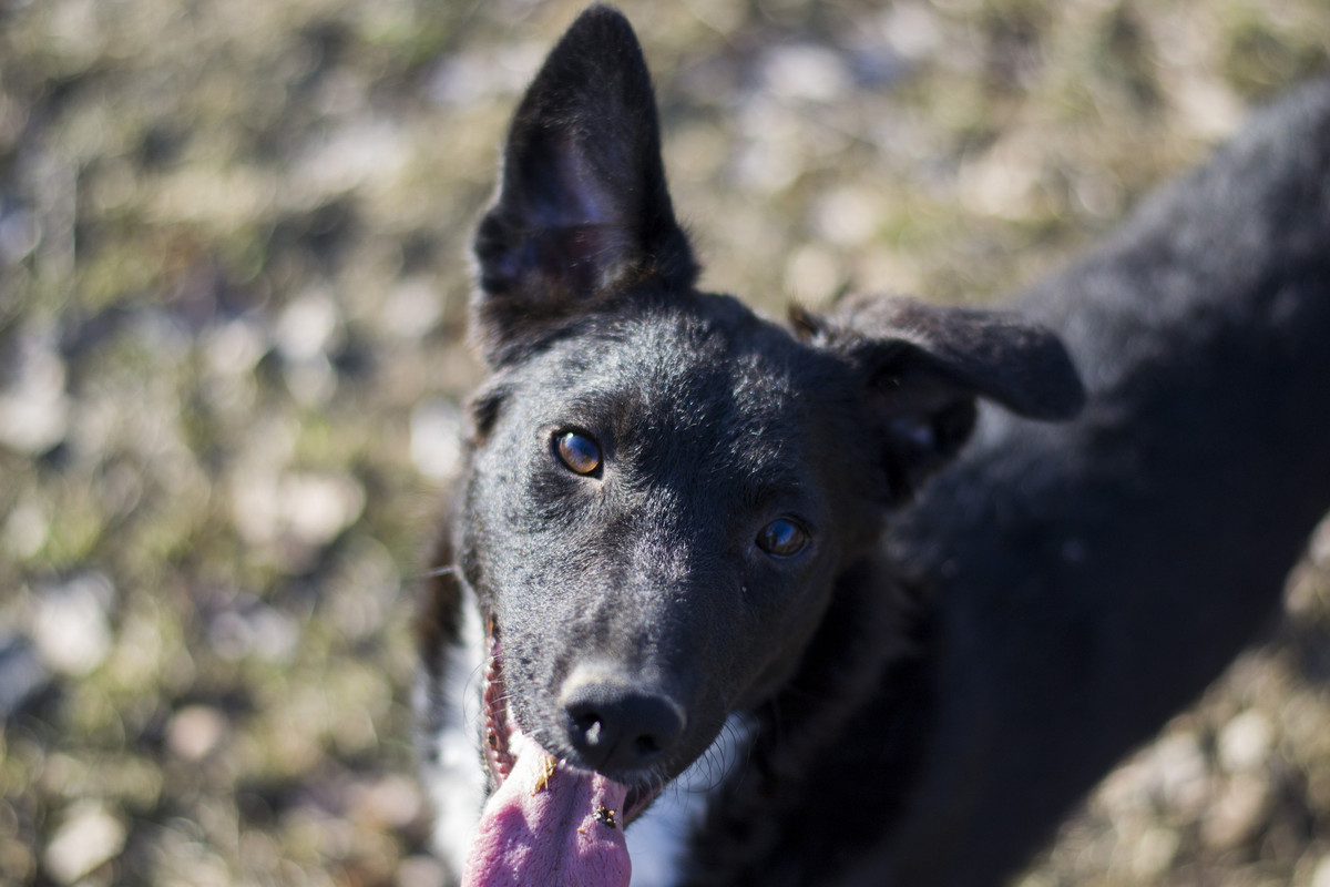 Дакота_06_18_3