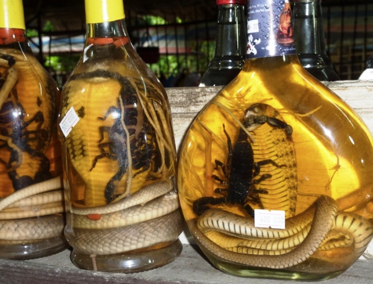 Ilustrasi ular yang difermentasikan.