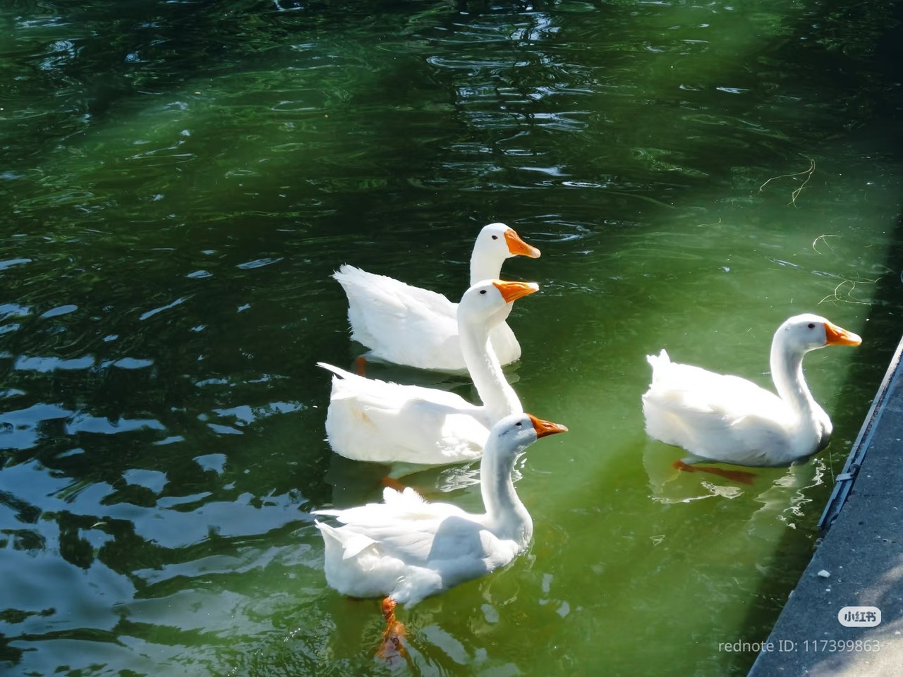 photo 8 2025 12 12 16 30 14