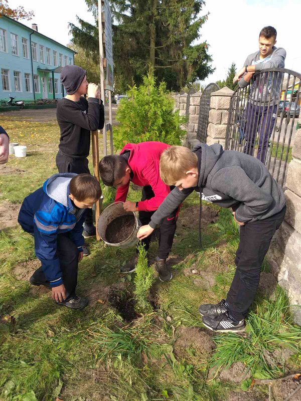 0-02-05-f027252aadd6493952cd41dffe33efe77917ab0b3a62d45eaa3ae3119a9fd207_31ccfe90