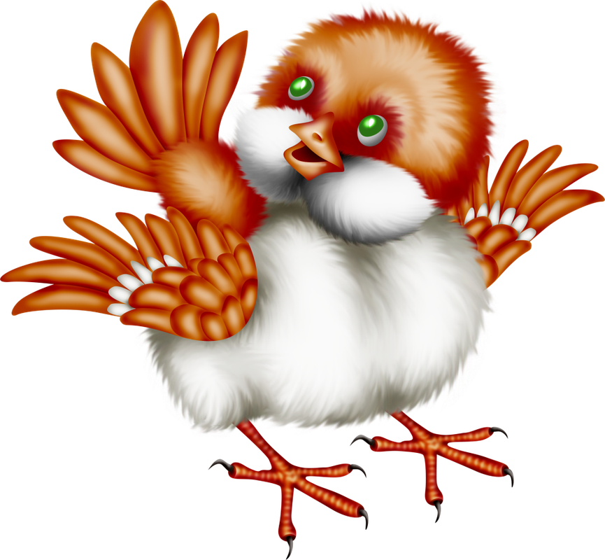 Christmas in Forest28