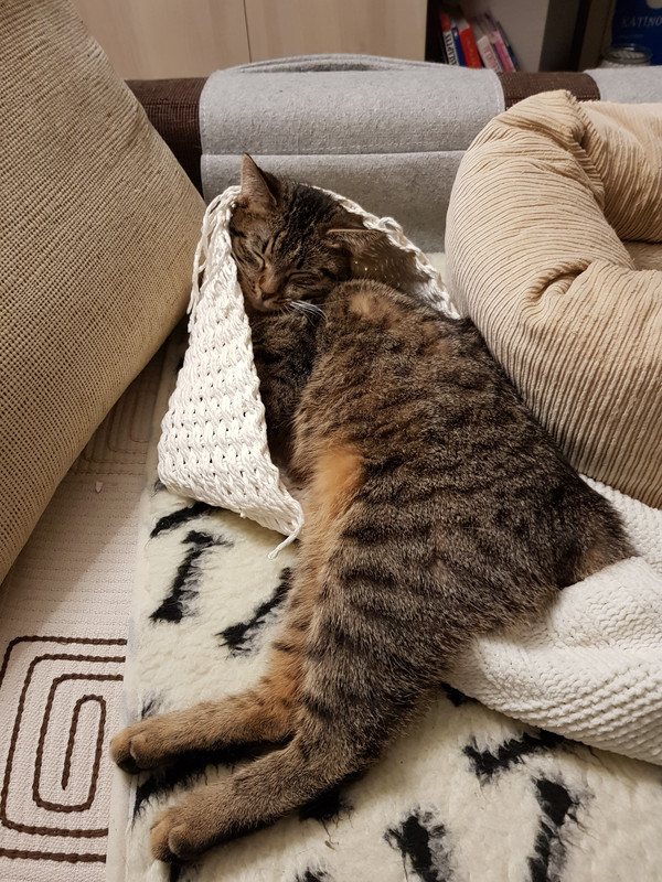 20190303-184346.jpg