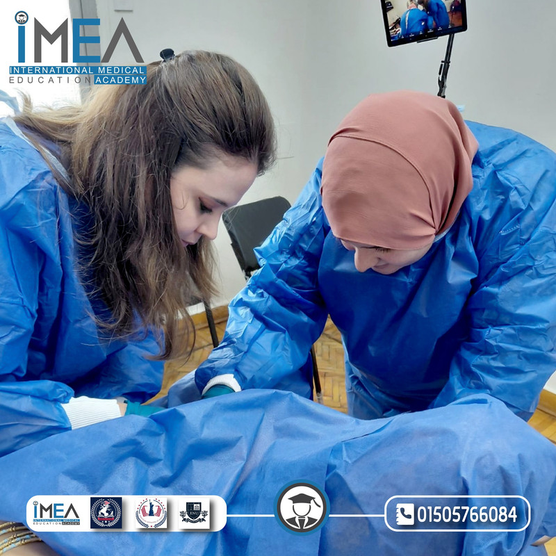IMEA Gallery 5
