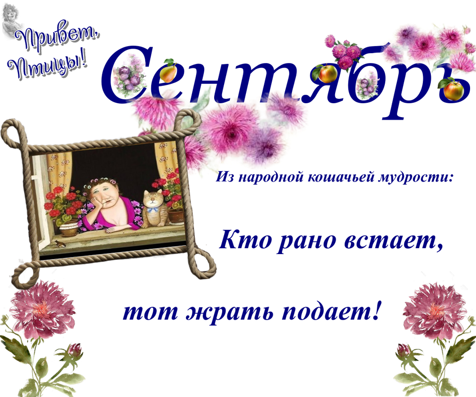 https://i.postimg.cc/Ls9WQcNf/18-09.png