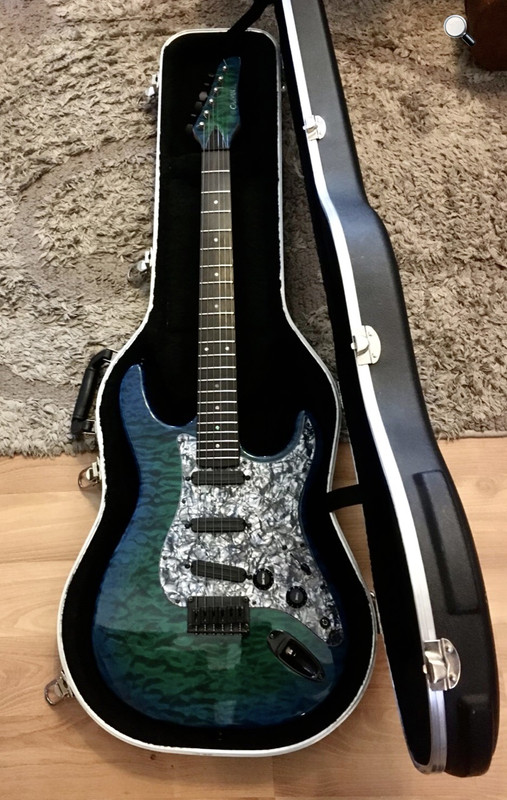 Any Carvin Bolt Owners? (Incoming!) | The Gear Page