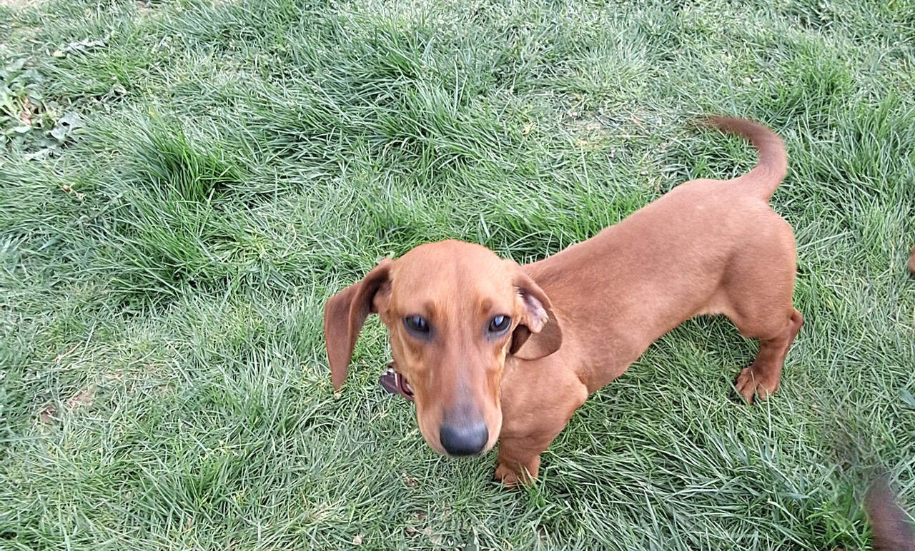 [Image: 20250413-194032.jpg]