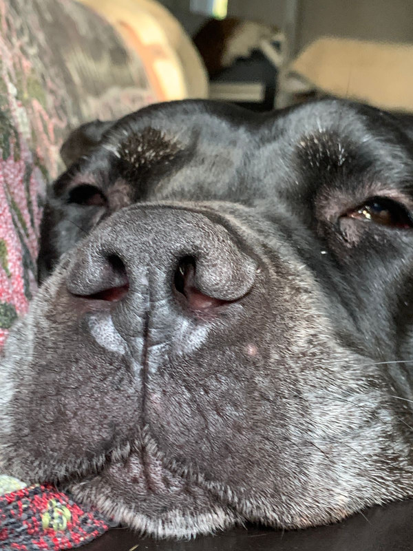 062C9207-9F69-46FA-A5EA-2F48EDB79313