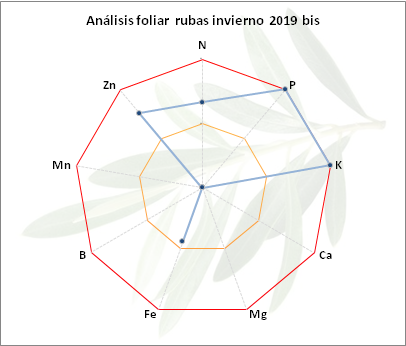 Análisis foliar rubas febrero 2019 Campiña Norte (Jaén) Rubas-invierno-2019-bis