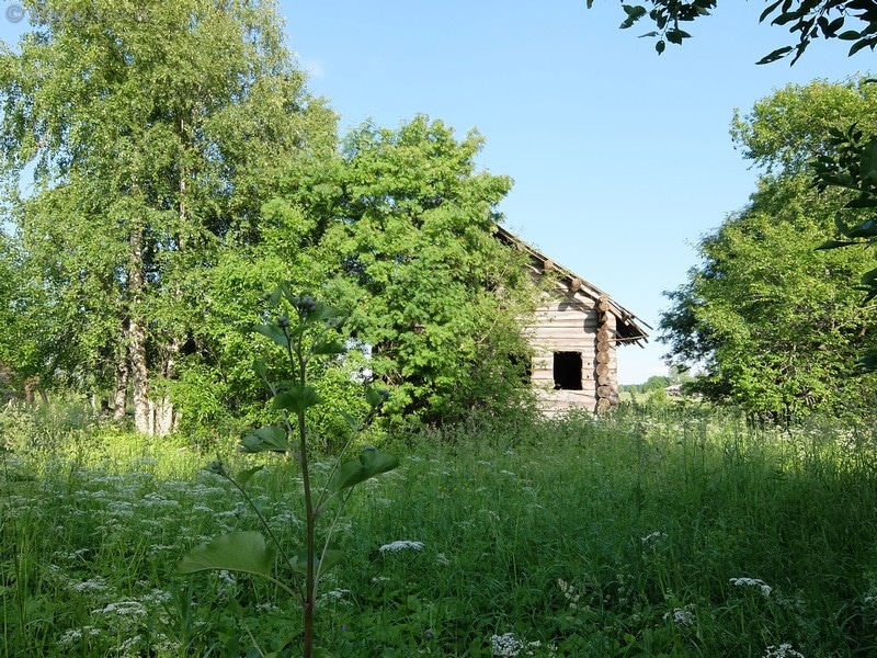 DSCF9036