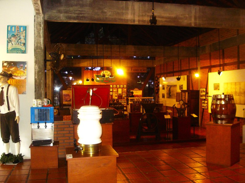 Blumenau-6-3-2010 - Brasil y sus pueblos-2010 (3)