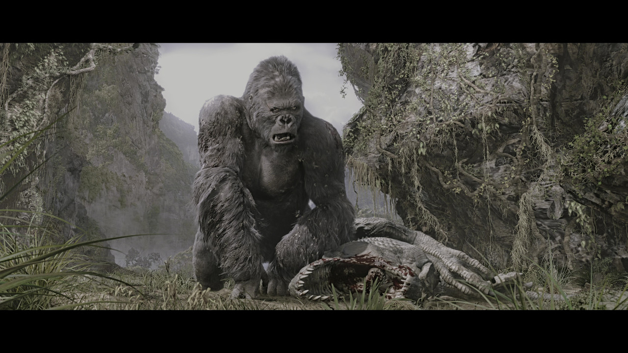 vlcsnap 2026 02 16 19h13m45s956