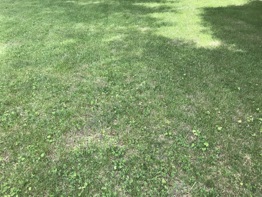 153078DC-4C15-4301-B64B-F20BD63ED102