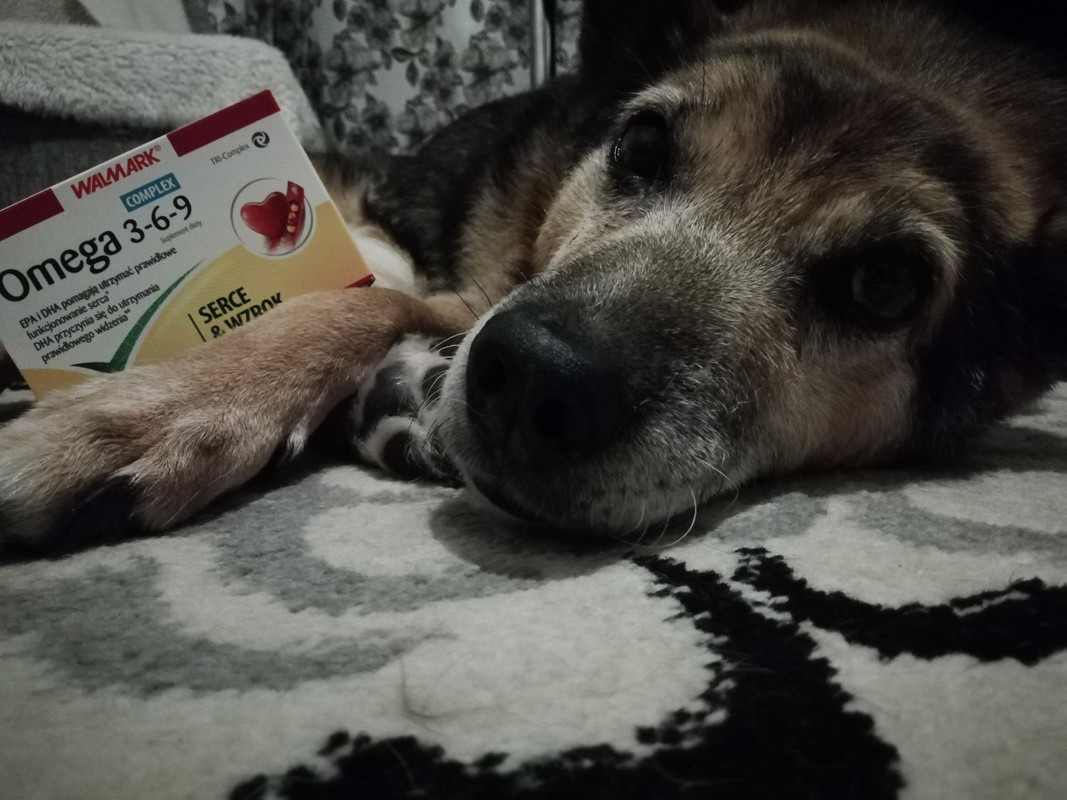 изображение_viber_2019-06-03_22-47-52