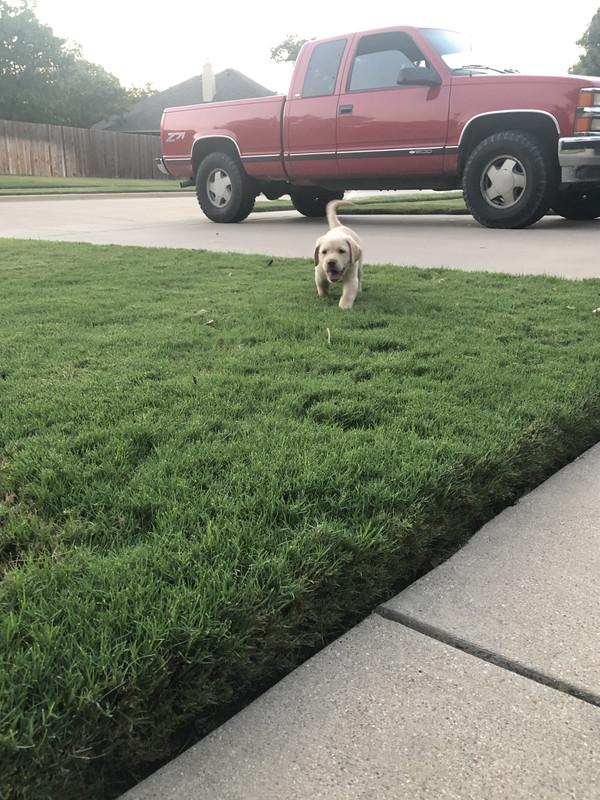 XuyQ8aWgR5 1Tovf5v6P7g